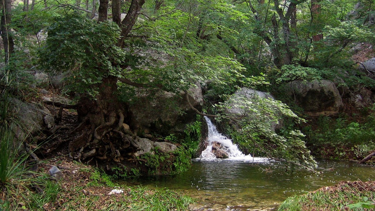 Park 19